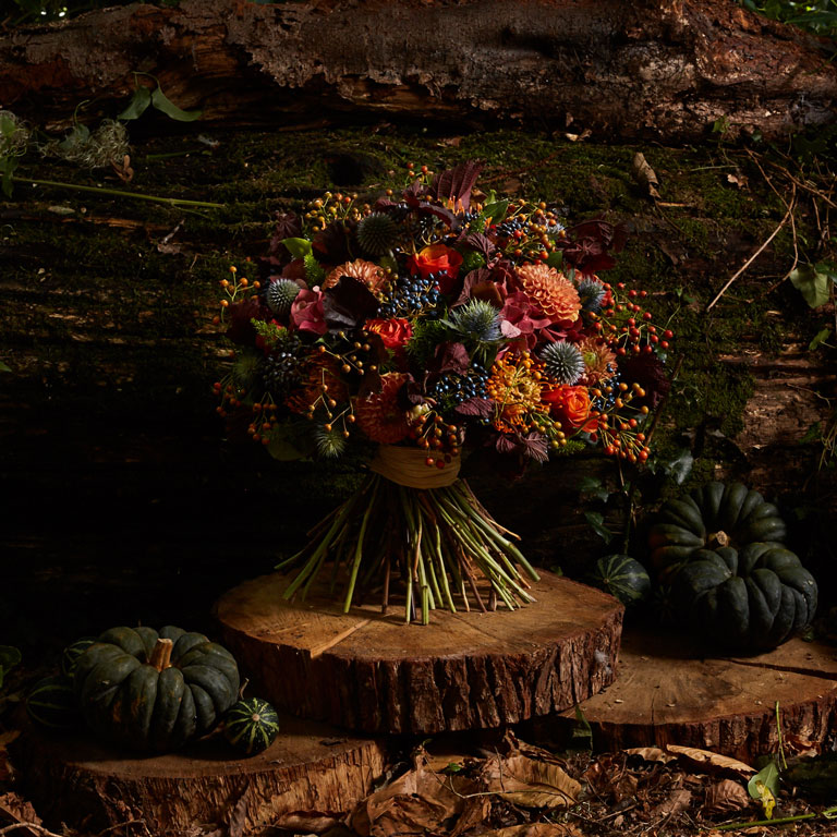 A bouquet with rich Autumnal hydrangeas, roses, viburnum and rose hips mixed with smoke bush and thistle
