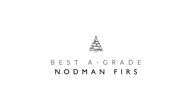 Best A-Grade Nordman Firs